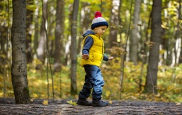 Un garçon de 4 ans marche sur un tronc d’arbre