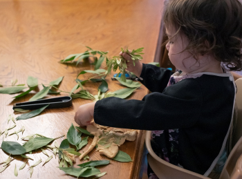 Enfant qui joue avec des feuilles et d’autres éléments de la nature dans sa maison