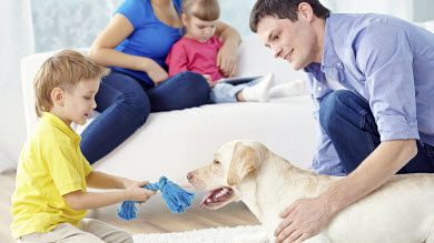 souvenir animal chien