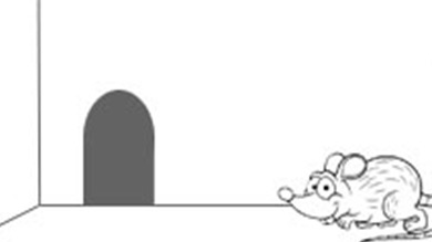 Bebe Souris Cherche Un Ami