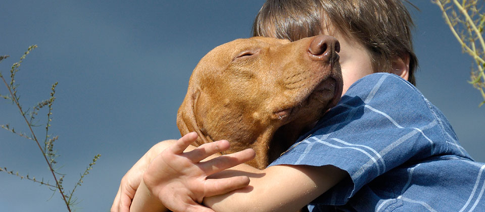 L'animal de compagnie, un membre de la famille !