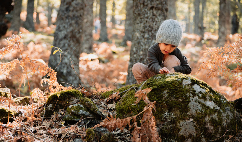 Éducation par la nature : guide pratique pour les parents
