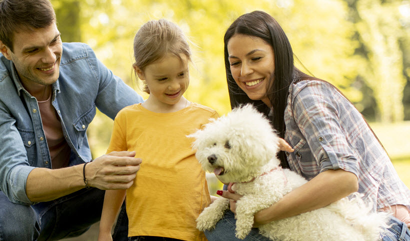 Les règles de sécurité avec le chien des autres