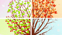 Le charme des saisons