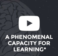 A phenomenal capacity for learning *